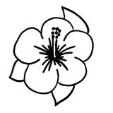kit punch needle fleur hibiscus c'reparti
