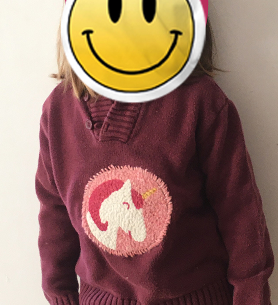 pull licorne