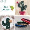 box loisirs créatifs cactus