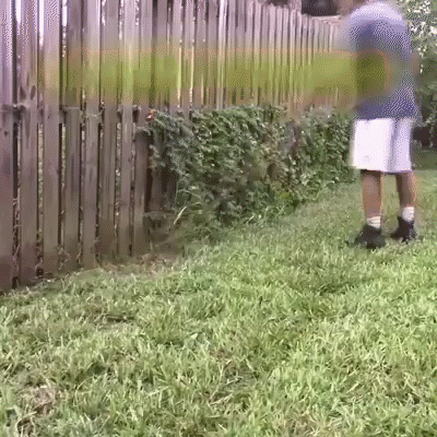 gif 1
