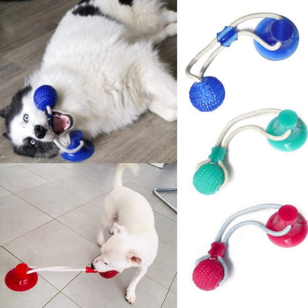 dog suction cup