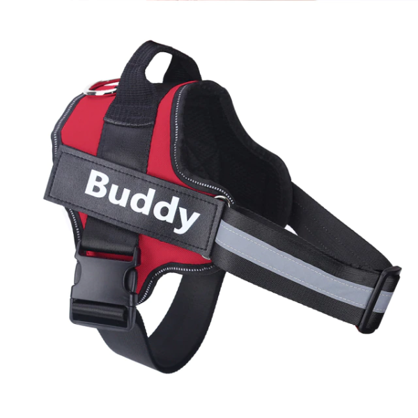 Dog Harness Personalized color Red
