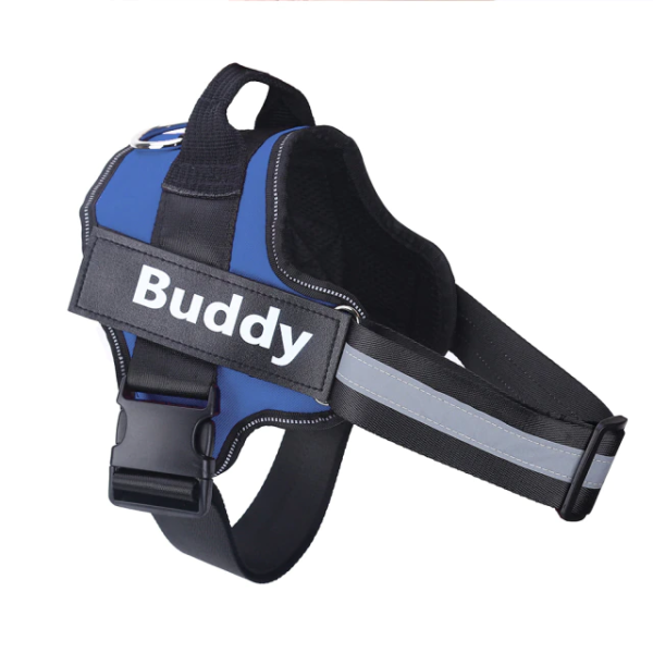 Dog Harness Personalized color Blue