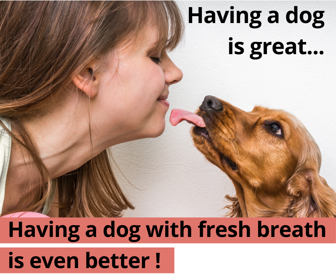 Having a dog is great, having a dog with fresh breath is even better !