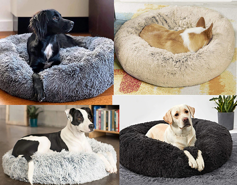 Big dog in soothing donut plush bed XXL