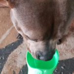 Botup ™- Our 4-1 Pet Water Bottle photo review