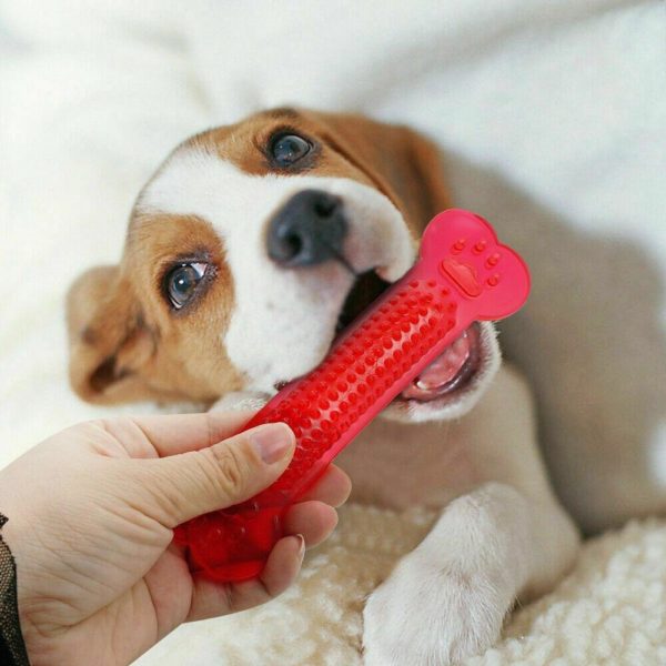 dog Chewing toy for teeth
