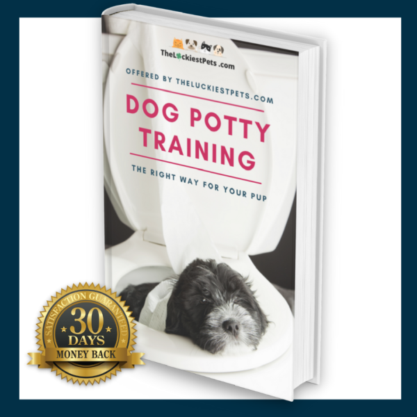 My dog isn't clean , what can I do?- Dog potty training eBook