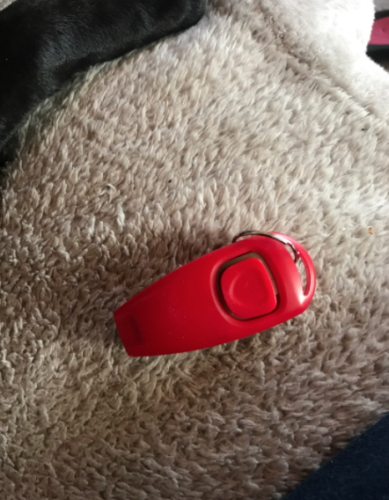 Whist n' Click™ - Dog training whistle and clicker photo review