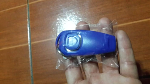 Whist n' Click™ - Dog training whistle and clicker photo review