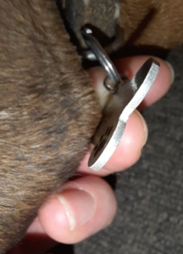 DoggiD™ - Elegant Custom Dog ID Tag photo review