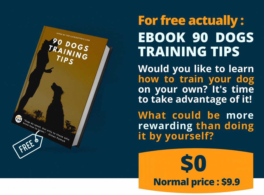 Free ebook : 90 dogs tips training