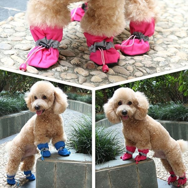 washable dog boots