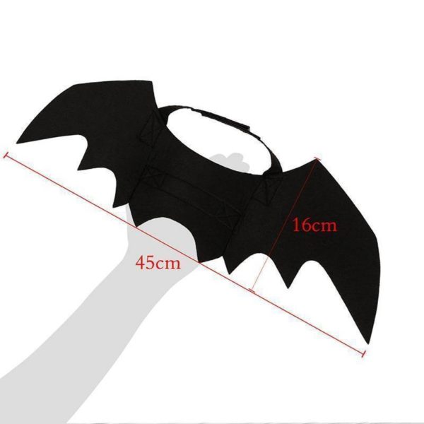 bat wing size
