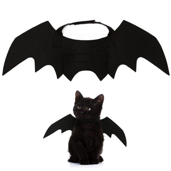 kitten bat wing costume