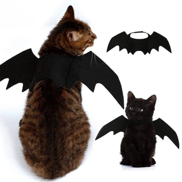 halloween costume for cats