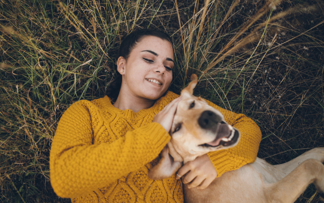 Can Dogs Change their Favorite Person?