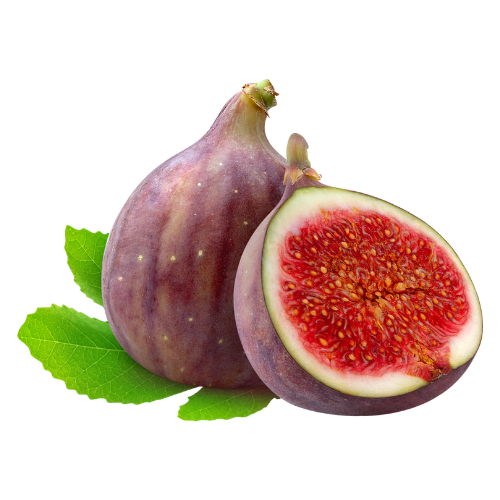 fig