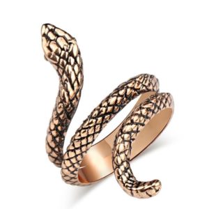 Bronze Snake Ring 1
