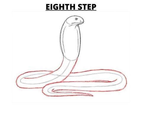 How To Draw a Cobra Eighth Step