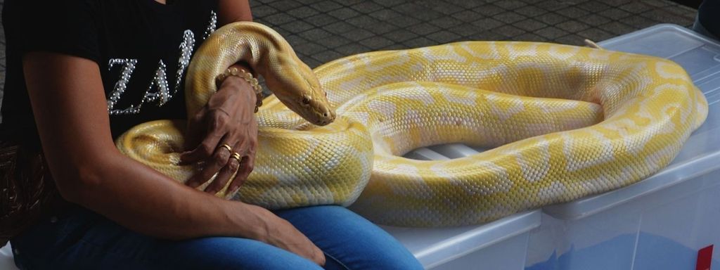 Woman Touching a Snake
