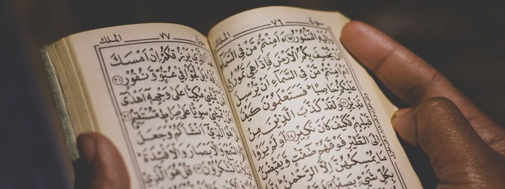 Snake Interpretation in Dream Islam
