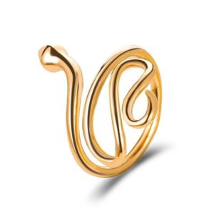 unisex-snake-ring-silver 1