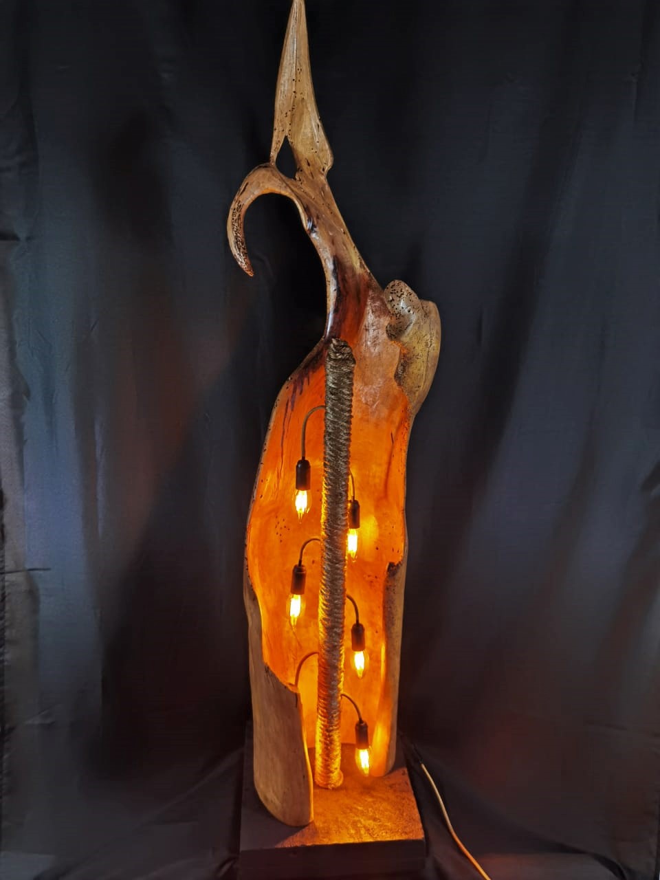 ampe NOCOVIDA design by Bellanatura