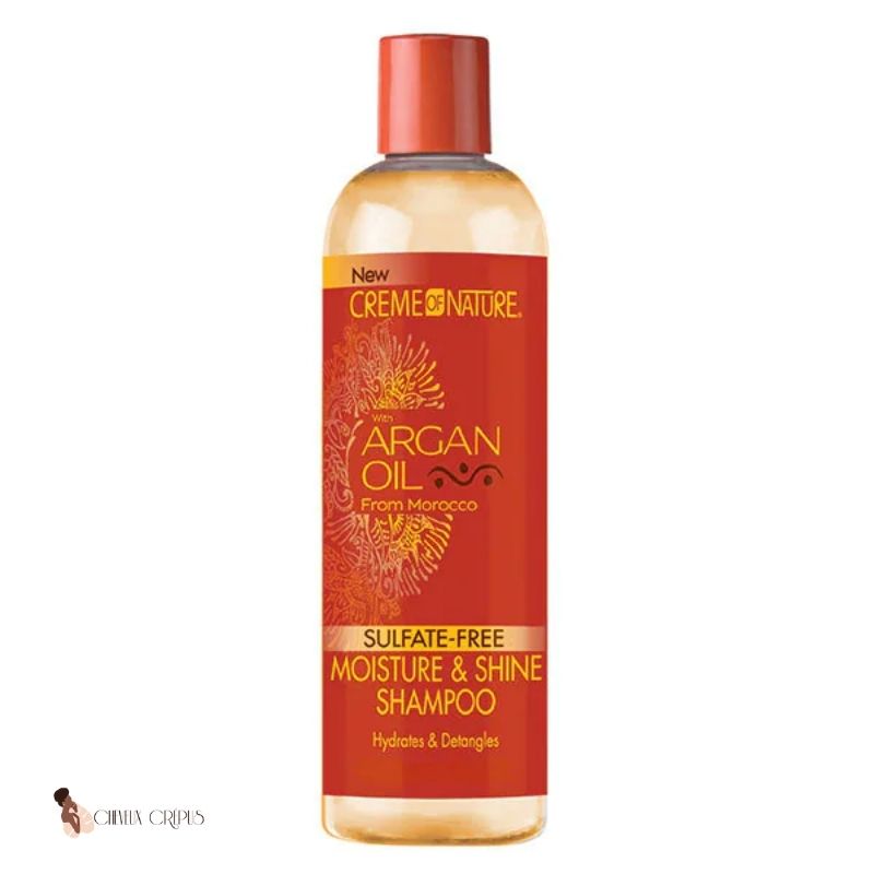Creme of Nature Argan Oil Moisture & Shine Shampoo - cheveuxcrepus.fr