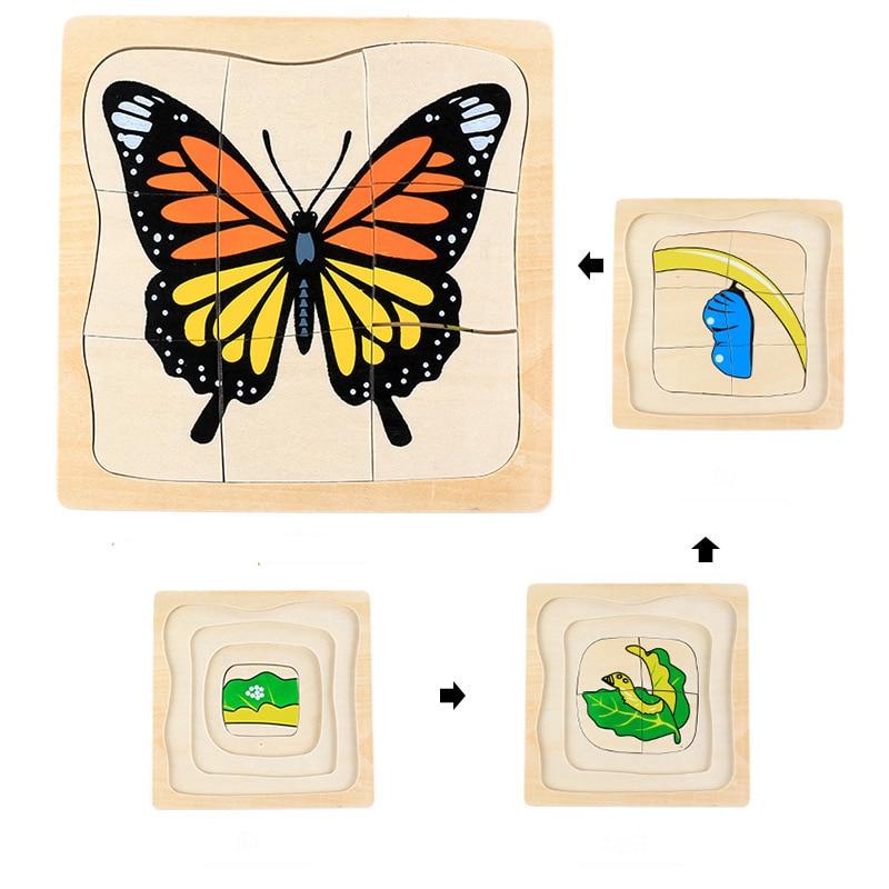 puzzle montessori cycle de la vie jouets montessori
