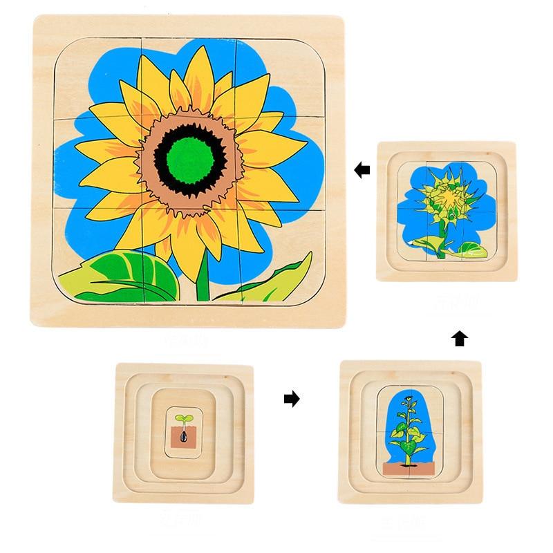 puzzle montessori cycle de la vie jouets montessori