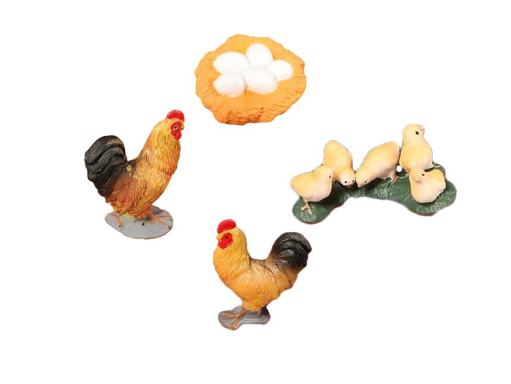figurine animaux cycle de la vie du coq jouets montessori