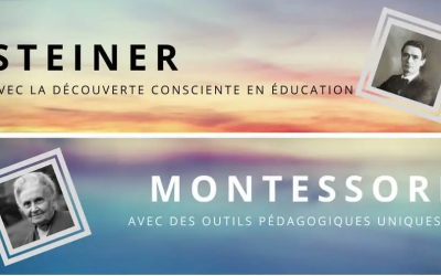 Montessori ou Steiner ? La différence