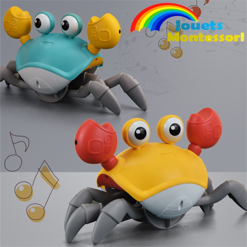 Jeu du crabe rampant Montessori