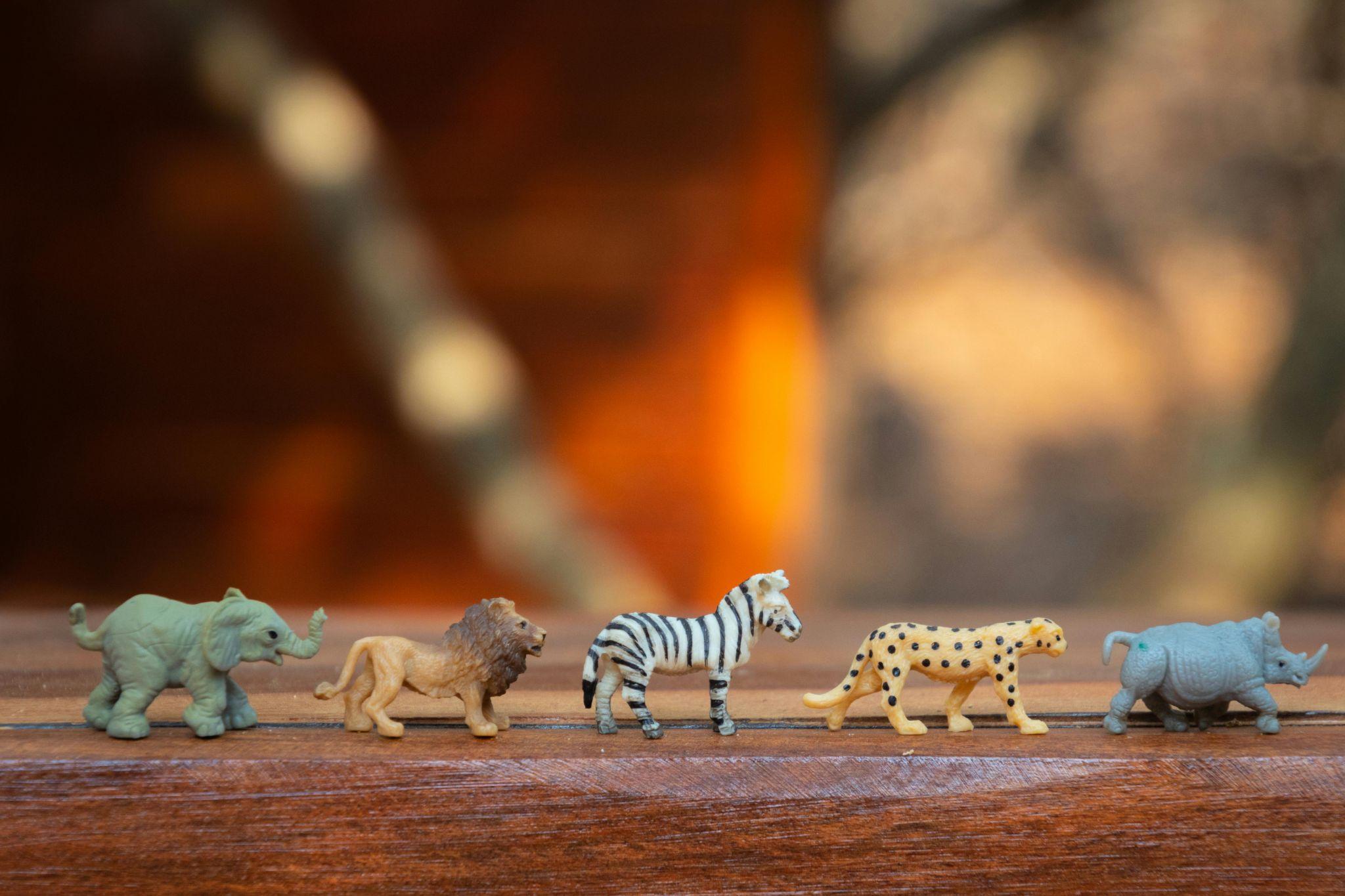 photo Comment les jouets Montessori améliorent les capacités de votre enfant