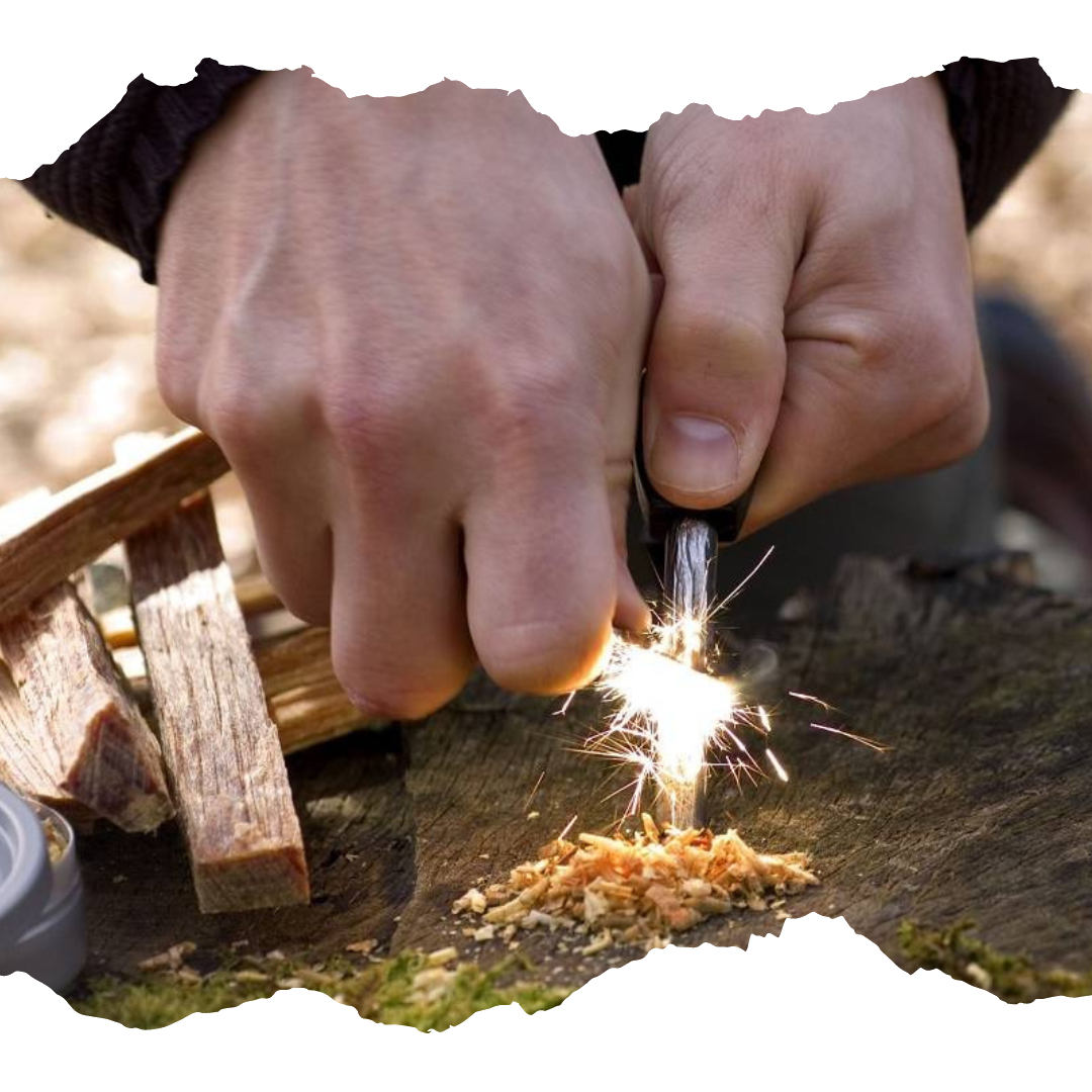 Firesteel - site_transp