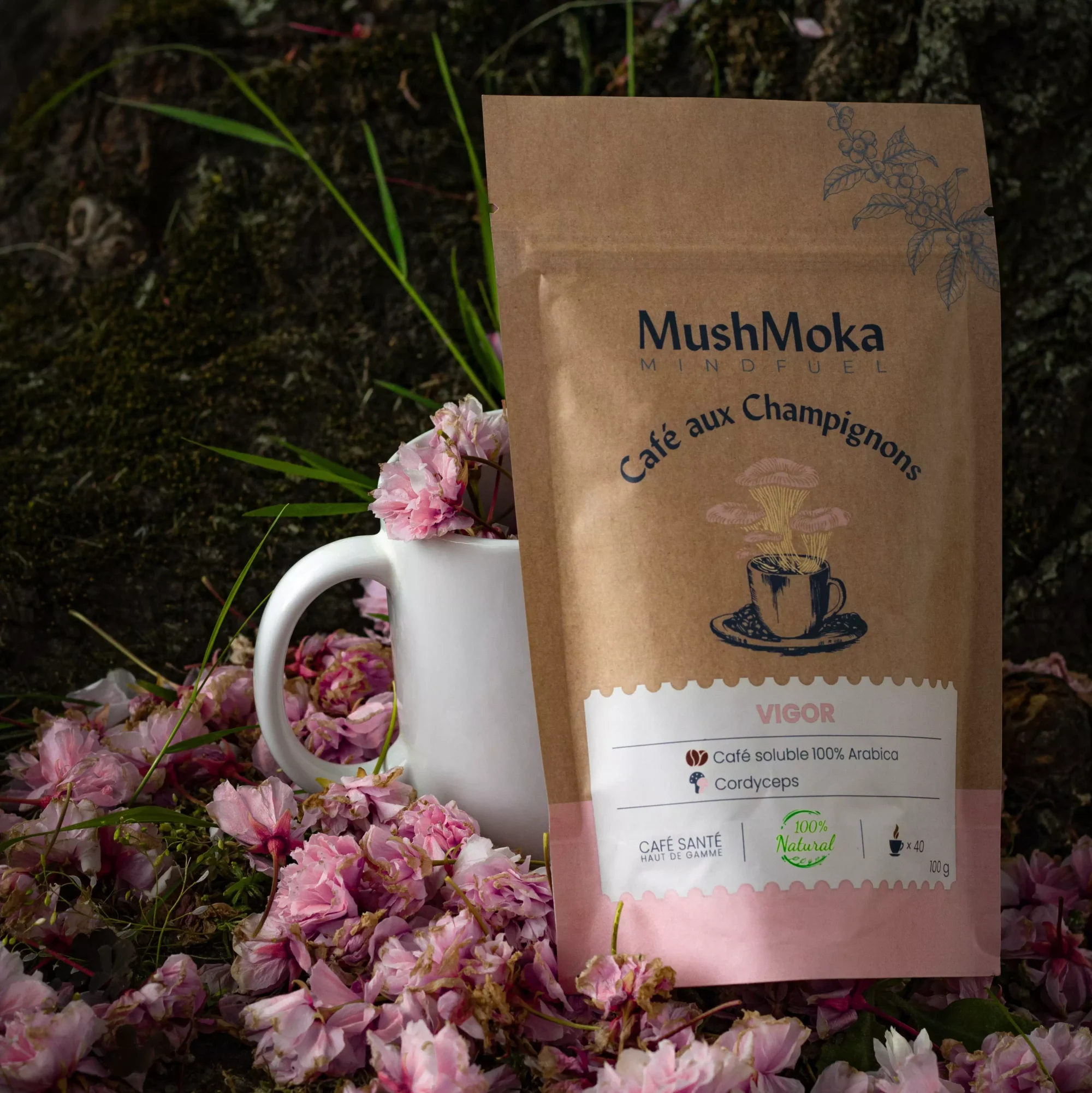 mushmoka café aux champignons superfood