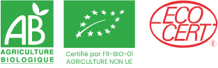 Sans-titre--f-2