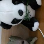 Peluche panda géante