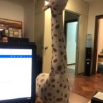 peluche girafe géante