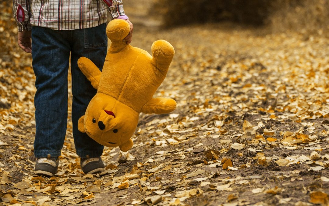 Quand laver une peluche ?