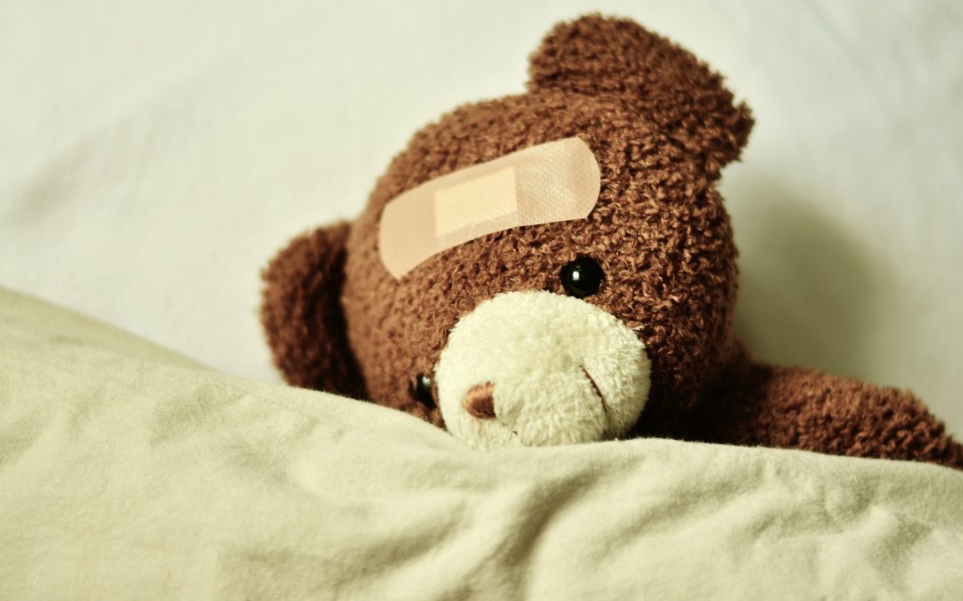 Peluche ou doudou ?