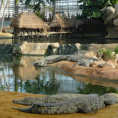 La Ferme aux Crocodiles de Pierrelatte dans la Drôme