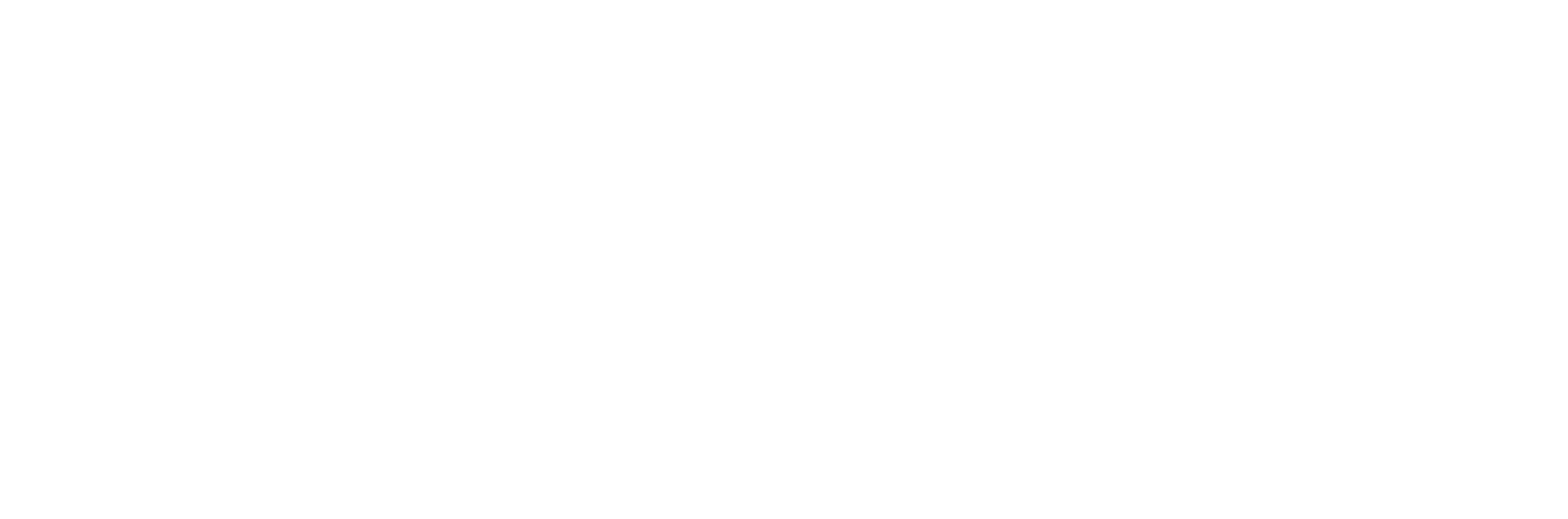 Chubb_logo - white-1867x618-3df2752