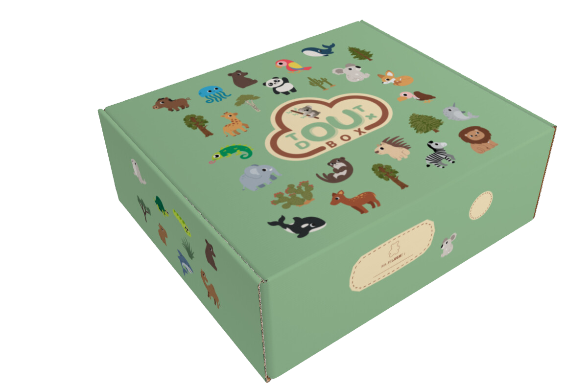 Design du packaging de la Toutdouxbox