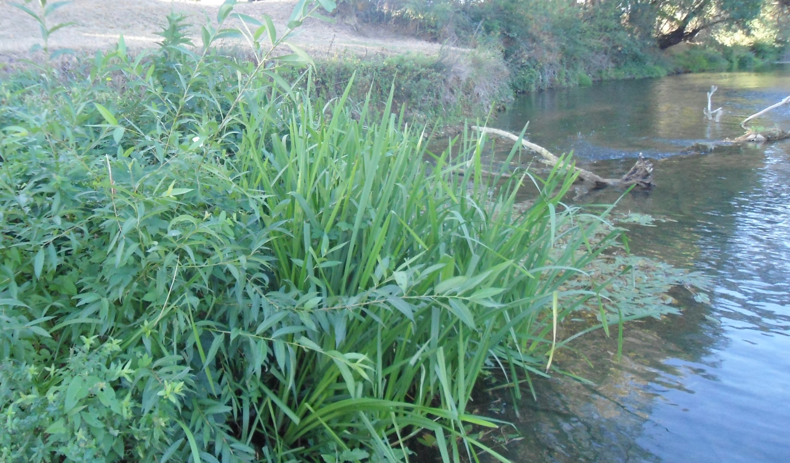 Le passage aux Soins du Corps Naturels