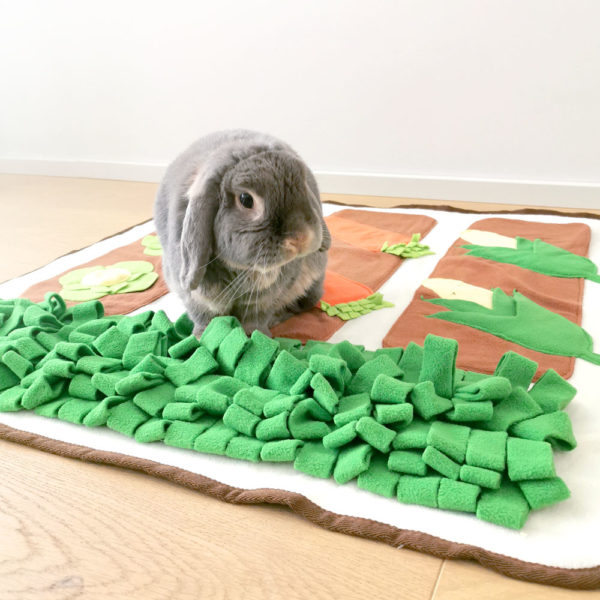 Tapis de fouille pour lapin ludique - Mon Lapin Nain