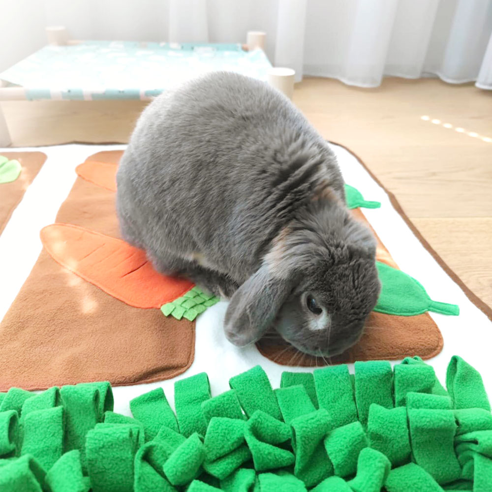 Tapis de fouille pour lapin ludique - Mon Lapin Nain