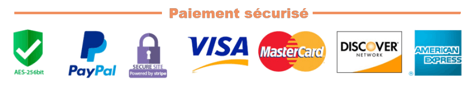 Paiements-securises paiement sécurisé par carte bancaire ou Paypal