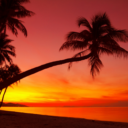 coucher de soleil plage Guadeloupe